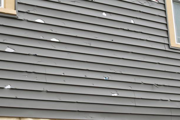 Best Siding Removal and Disposal  in Fletcher, OK